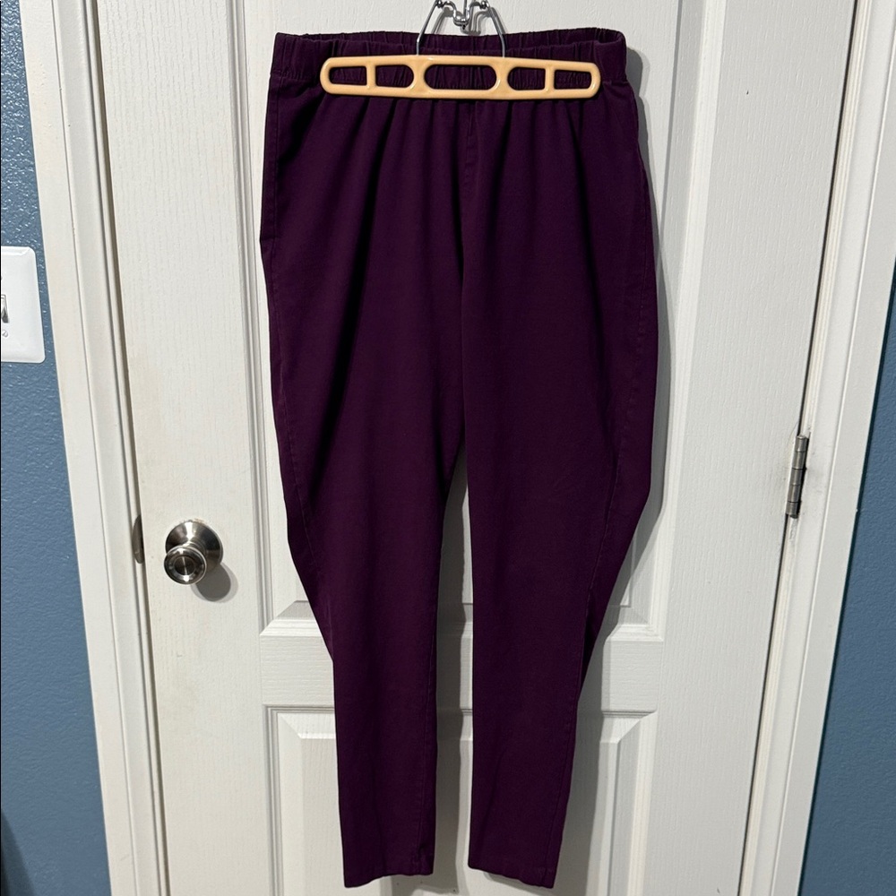 Romans Pull On Purple Trousers Large 18/20